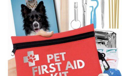 Dog First Aid Kit for Hiking and Travel – Under $20